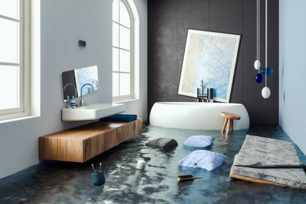 Best Water damage restoration experts  in Kingsbury, NV