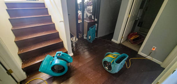Trusted NV Water damage restoration Experts