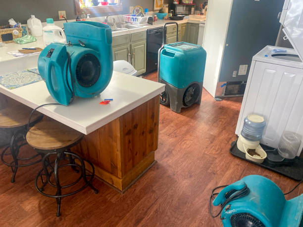 Best 24-hour water damage restoration  in Kingsbury, NV