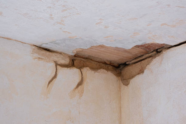 Best Local water damage restoration  in Kingsbury, NV