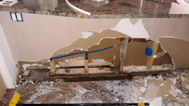 Best 24/7 water damage repair  in Kingsbury, NV