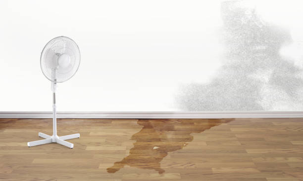 Water damage restoration experts in NV