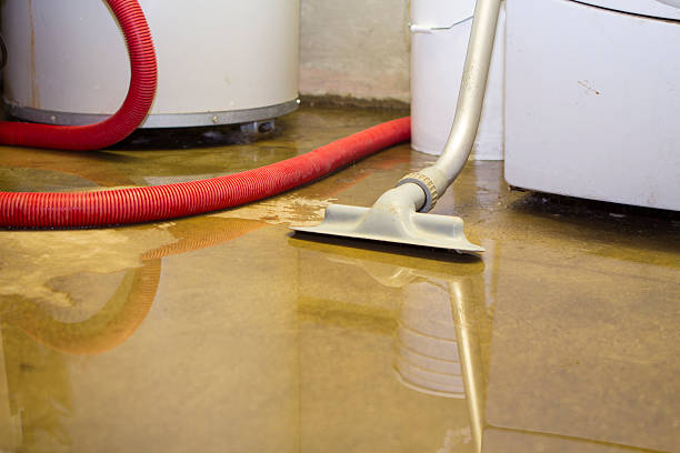 Best 24-hour water damage restoration  in Kingsbury, NV