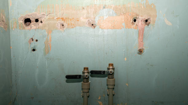 Best Local water damage restoration  in Kingsbury, NV