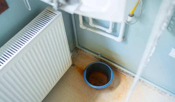 Best Professional water damage repair  in Kingsbury, NV
