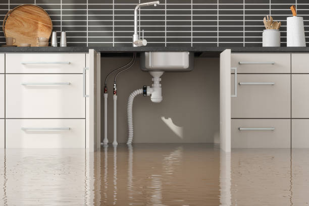 Best Water damage restoration cost  in Kingsbury, NV