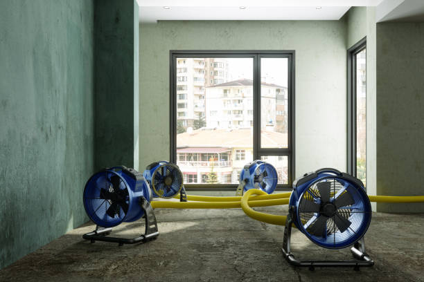 Best Fire Damage Restoration  in Kingsbury, NV