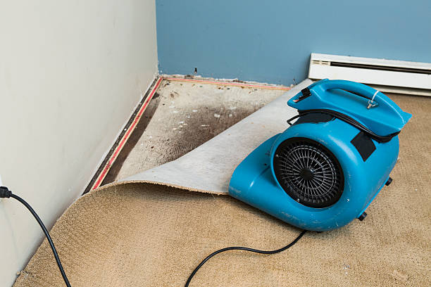 Best Carpet water damage restoration  in Kingsbury, NV